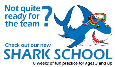 sharkschool